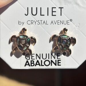 Genuine Abalone Turtle Earrings